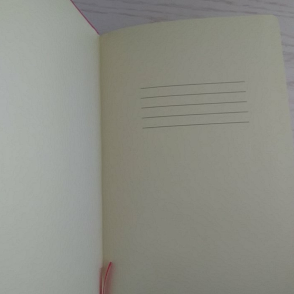 NWOT Pink Notebook/Journal - Picture 5 of 5